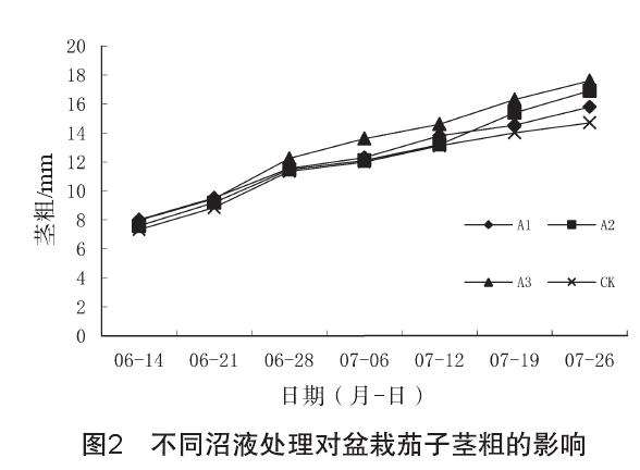 不同微生物菌剂对盆栽茄子生长发育的影响