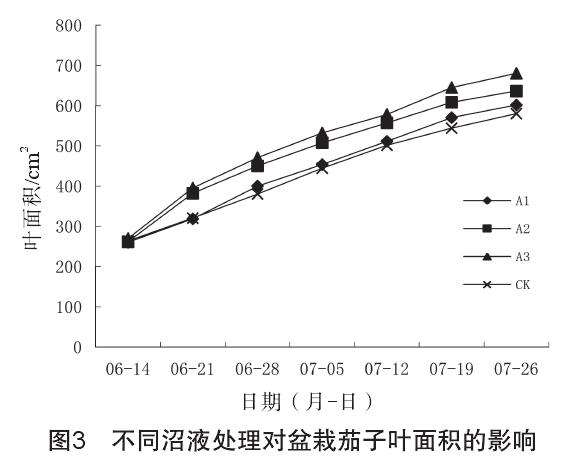 不同微生物菌剂对盆栽茄子生长发育的影响