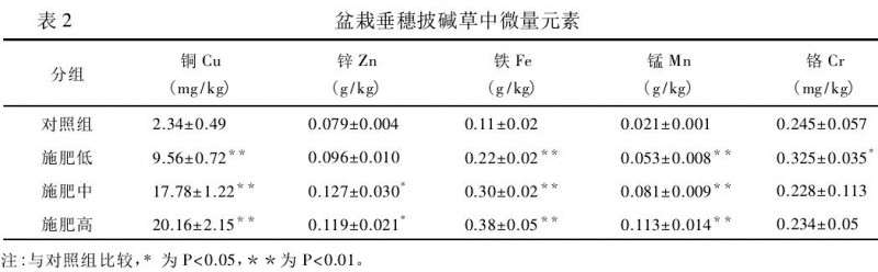 盆栽垂穗披碱草中矿物元素