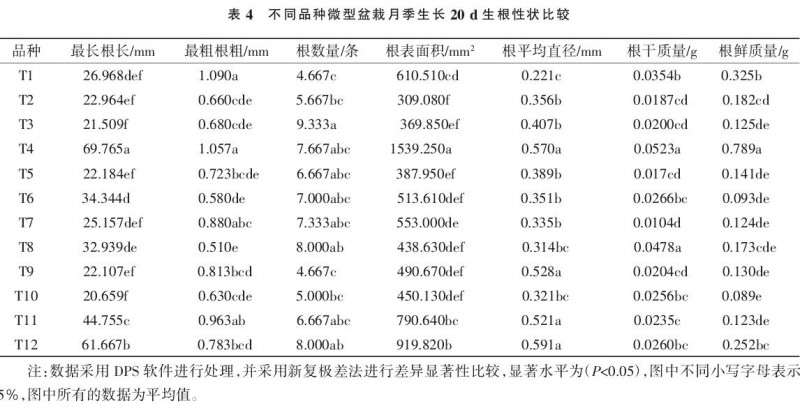 不同品种微型盆栽月季生根比较试验