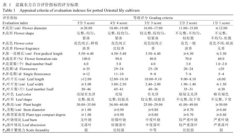 不同品种盆栽东方百合的物候期比较