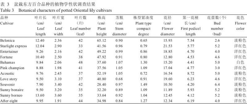 不同品种盆栽东方百合的物候期比较