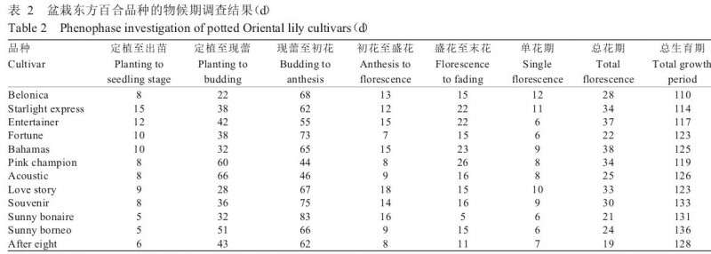 不同品种盆栽东方百合的物候期比较