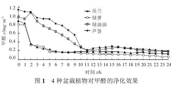 4种盆栽植物对甲醛的净化效果