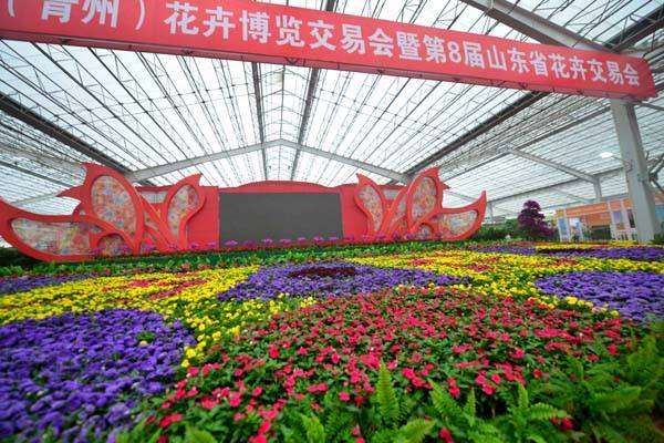 青州市的盆栽花卉产业处于调整转型阶段