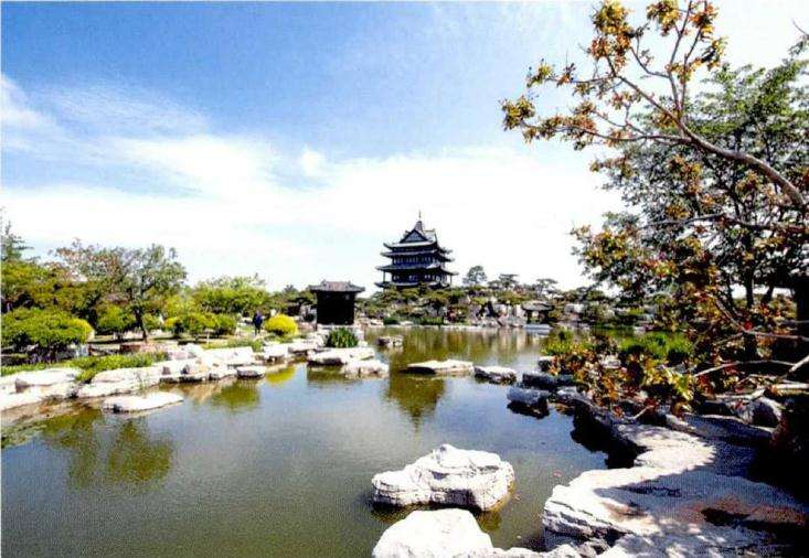 临沂琅琊盆景园 占地150余亩 图片