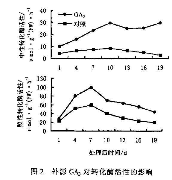 TIBA和Pix对盆栽香石竹矮化效应的研究