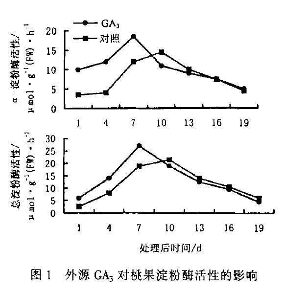GA3对温室盆栽桃座果及幼果糖酶活性的影响