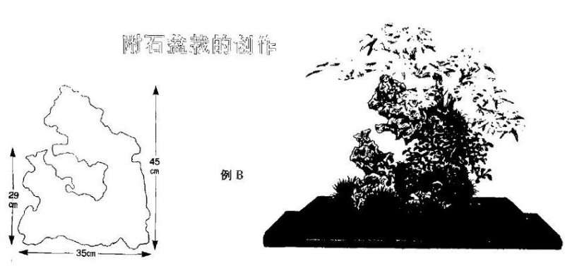 附石盆栽怎么创作的5个方法