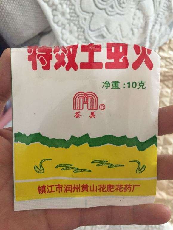 发财树长了很对这种小飞虫