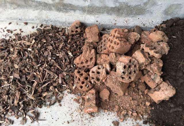用蜂窝煤碳渣种下山桩怎么样
