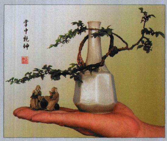 林瑞温怎么制作酒瓶盆景的方法