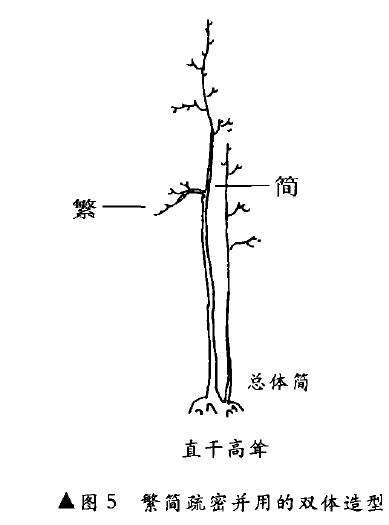 图解 树木盆景造型怎么繁简并用