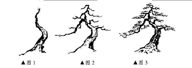 线-盆景怎么造型的主旋律 图片