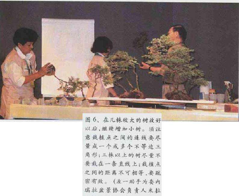 图解 2003 赵庆泉制作水旱盆景的过程