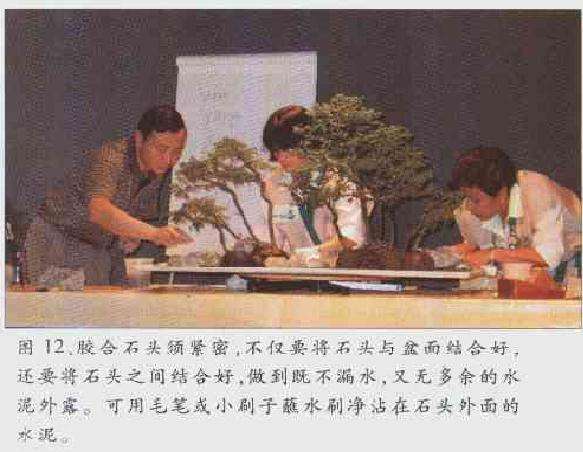 图解 2003 赵庆泉制作水旱盆景的过程