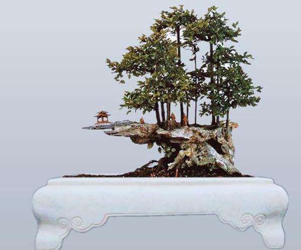 怎么制作景盆式树石盆景的方法