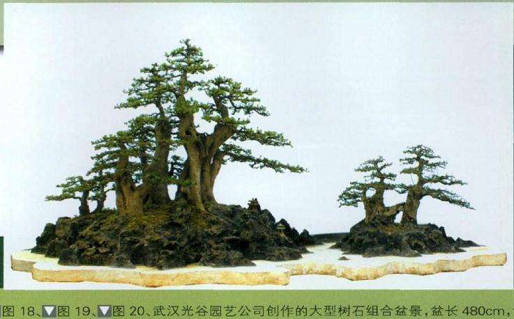 武汉光谷园艺公司创作的大型树石组合盆景