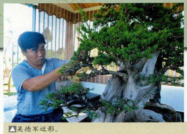 这是河南省许昌市盆景协会会长