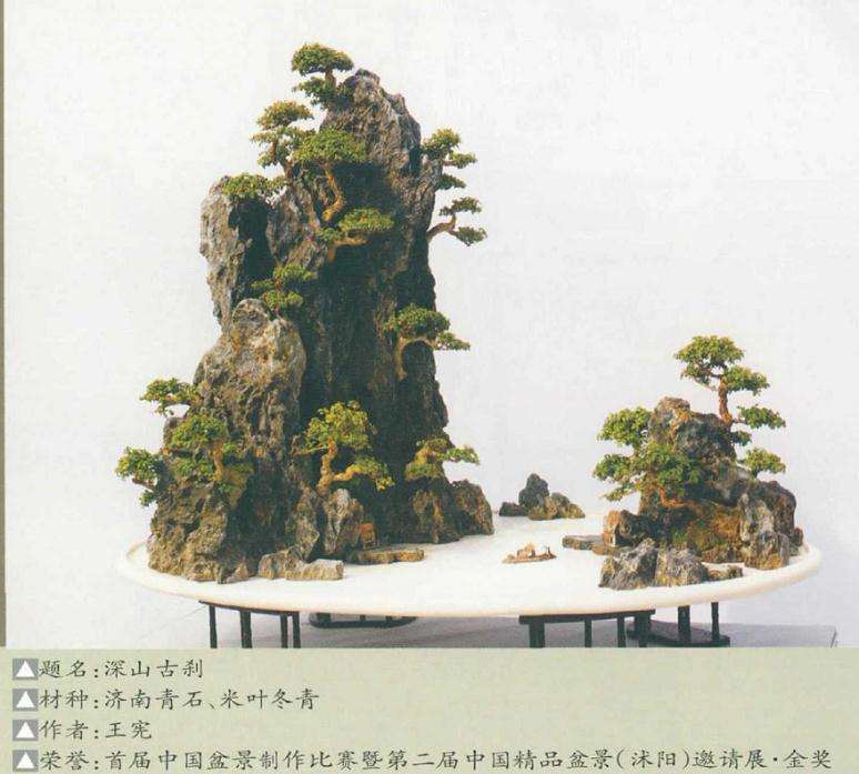 济南盆景园收藏名品赏析 图片
