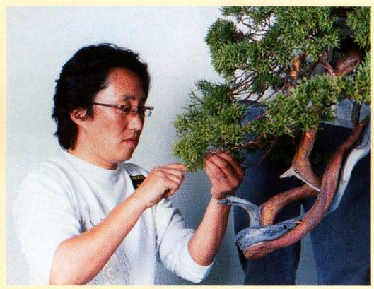 日本盆栽艺术家