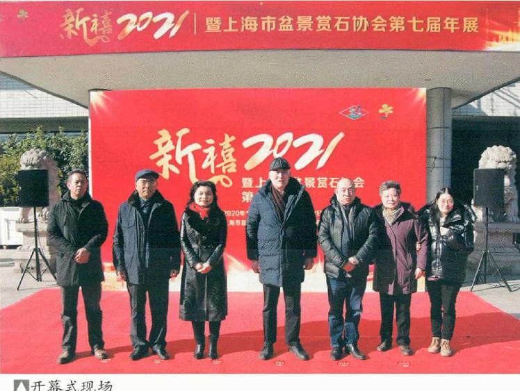 上海盆景协会第七届年展