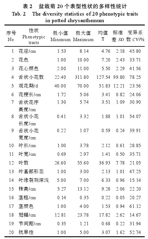 盆栽菊品种表型性状的多样性分析