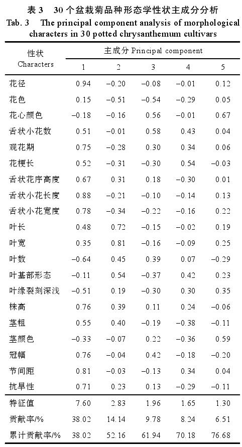 盆栽菊品种表型性状的多样性分析