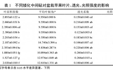 不同矮化中间砧对盆栽苹果叶片的影响