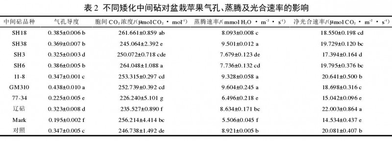 不同矮化中间砧对盆栽苹果气孔的影响