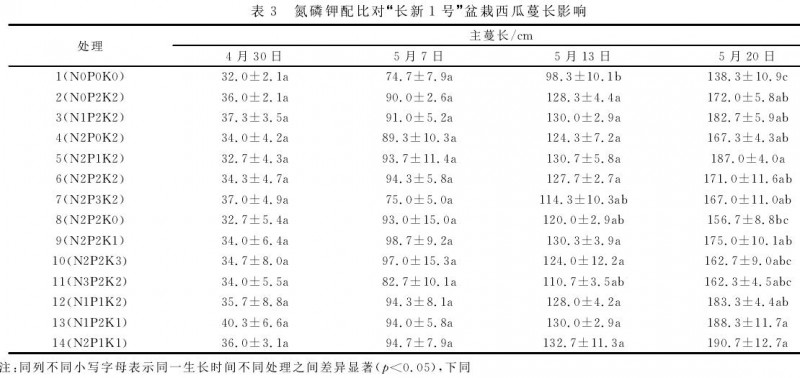 不同氮磷钾配比对盆栽西瓜主蔓长的影响