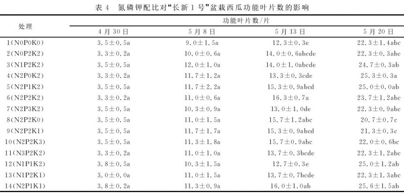 不同氮磷钾配比对盆栽西瓜主蔓长的影响