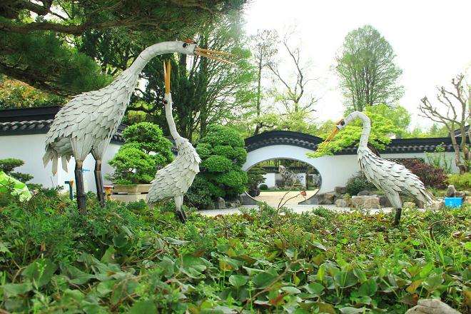 上海植物园与盆景园概况是什么