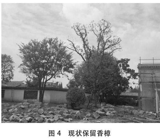 上海盆景园植物景观怎么改造的7个分析