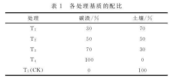 不同碳渣配比对盆栽草莓生长的影响