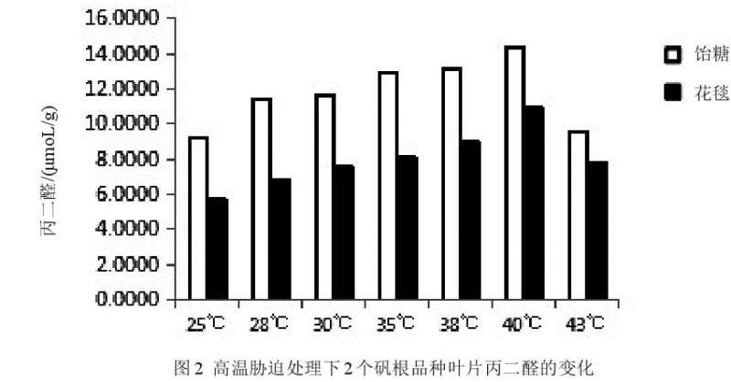 高温胁迫对2个矾根盆栽品种生理特性的影响