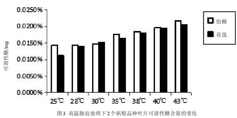 高温胁迫对2个矾根盆栽品种生理特性的影响