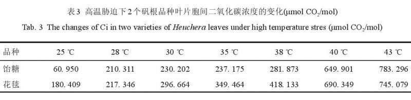 高温胁迫对2个矾根盆栽品种生理特性的影响