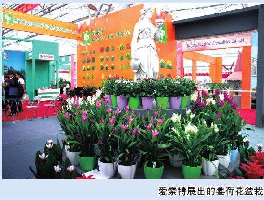2016年 第16届中国青州花卉博览交易会