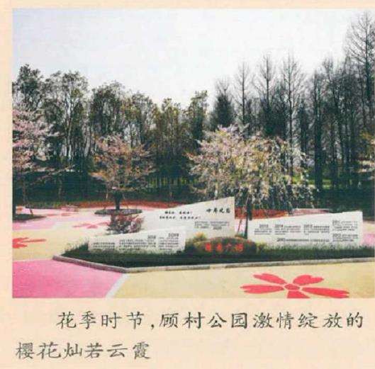 上海2月的赏花游客就达3.9万人次