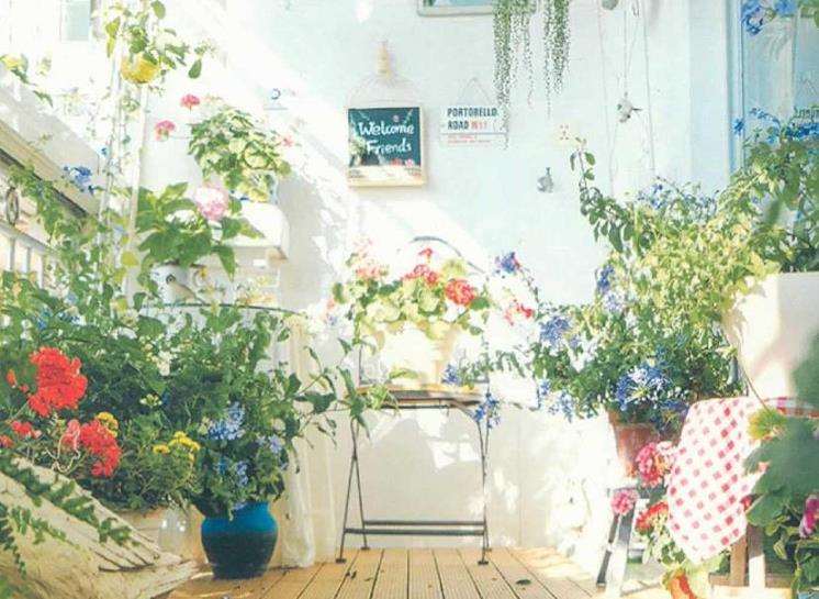 在洒满阳光的阳台上做一个花园梦