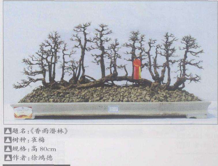 2009 顺德获得中国盆景名镇的荣誉称号