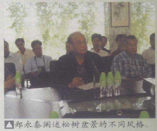 中国松树盆景研讨会在顺德大良举行