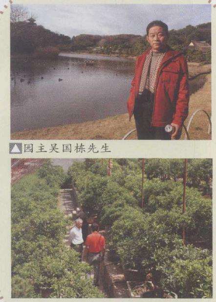 1997年筹建的山东九玖久桂花盆景园 图片