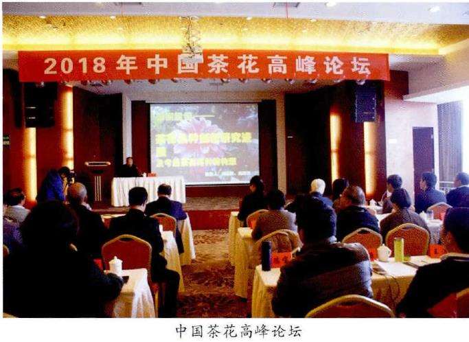 2018 湖北麻城第六届茶花文化旅游节