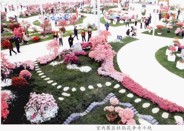 第15届中国杜鹃花展在成都开幕