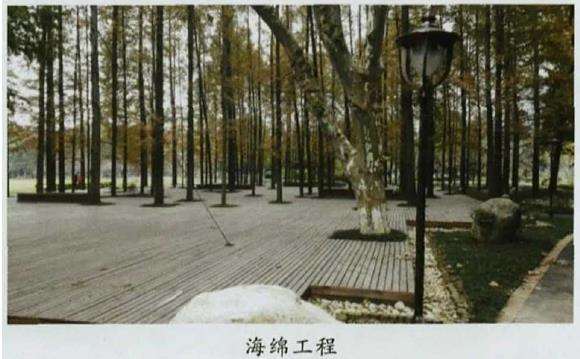 武汉市海绵城市建设怎么选择园林植物