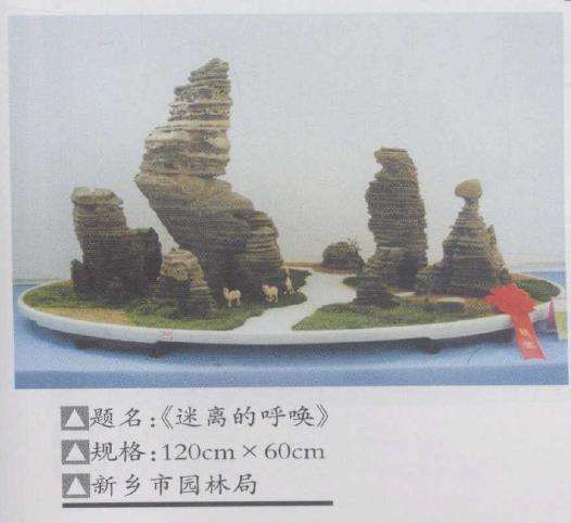 河南省第八届盆景艺术展在郑州举办