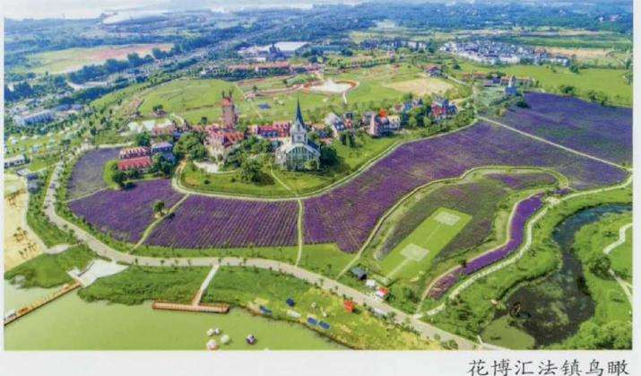 花博汇是武汉地区唯一四季赏花型景区