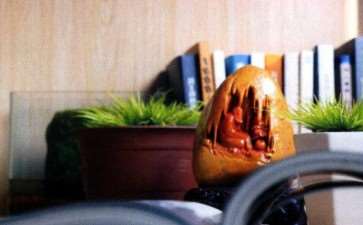 菖蒲盆景如何植苔藓的3个方法 图片